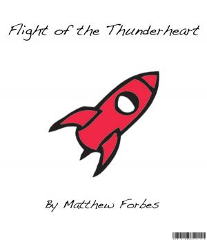 Book cover of Flight of the Thunderheart