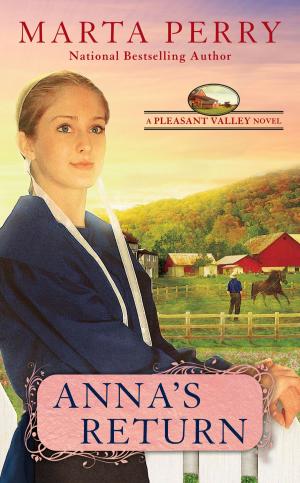 Cover of the book Anna's Return by Robert N. Butler