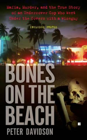 Cover of the book Bones on the Beach by Marina Lewycka