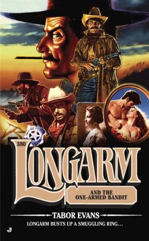 Cover of the book Longarm 380 by Brian Jay Jones