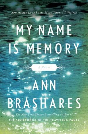 Cover of the book My Name is Memory by Robin Paige