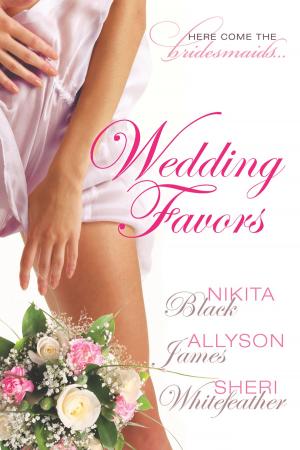 Cover of the book Wedding Favors by Jeanette Murray