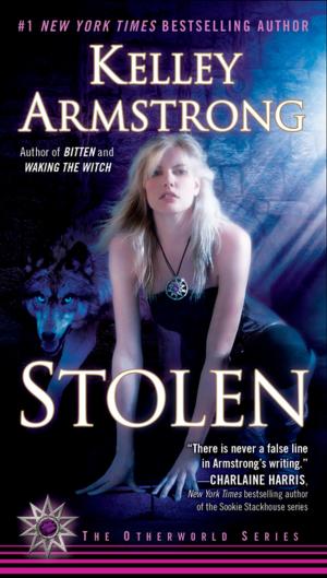 Cover of the book Stolen by S. M. Stirling