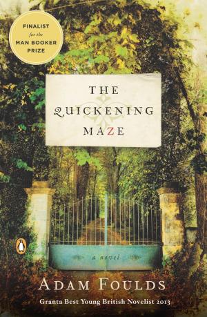 Book cover of The Quickening Maze