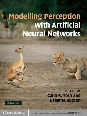 Cover of the book Modelling Perception with Artificial Neural Networks by Rob Donovan, Nadine Henley