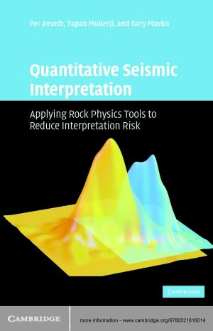 Cover of the book Quantitative Seismic Interpretation by Paul Craig