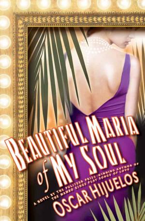 Book cover of Beautiful Maria of My Soul