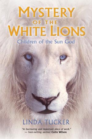 bigCover of the book Mystery of the White Lions by 