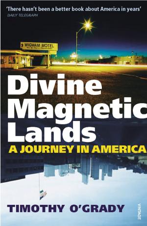 Cover of the book Divine Magnetic Lands by Stephen Arseneault