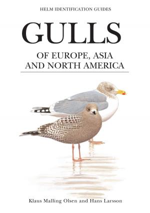 Cover of the book Gulls of Europe, Asia and North America by Diana Preston