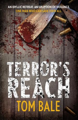 Cover of the book Terror's Reach by Colleen Nye, Stephanie Brown, Chris Talant, Linton Bowers, Martin Spernau, Clay Dugger, James Silverstein, A.F. Grappin, Isabella Norton, Carrie Mattern, James Husum, Michael Bergonzi