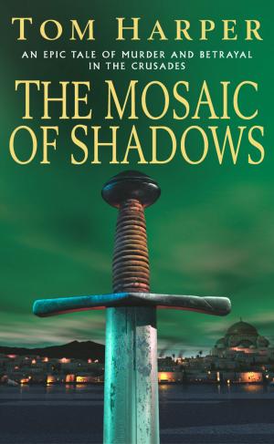 Book cover of The Mosaic Of Shadows