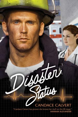Cover of the book Disaster Status by Michael Ward