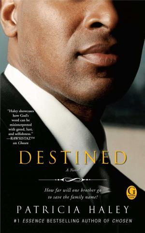 Cover of the book Destined by Rabbi David Baron