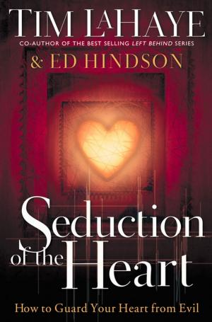 Cover of the book Seduction of the Heart by Erwin Raphael McManus