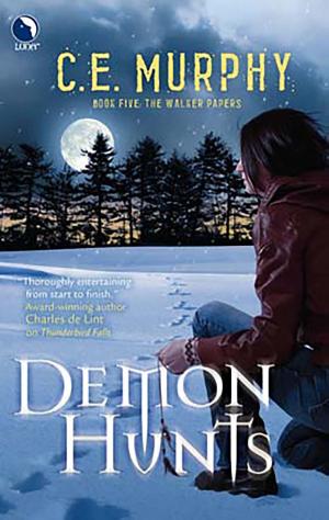 Cover of the book Demon Hunts by Amanda M. Blake