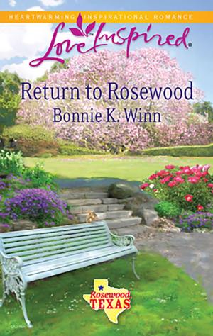 Cover of the book Return to Rosewood by Janet Tronstad