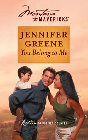 Cover of the book You Belong to Me by Sylvie Kurtz