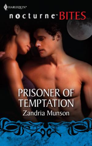 Cover of the book Prisoner of Temptation by Margaret Gooch
