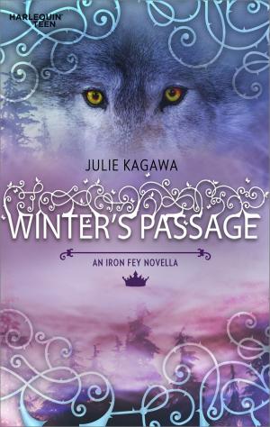 Cover of the book Winter's Passage by B.J. Daniels, Delores Fossen, Julie Miller