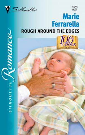 Cover of the book Rough Around the Edges by Kimberly Van Meter