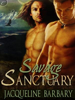 Cover of the book Savage Sanctuary by Layla Reyne