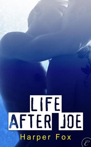 Cover of the book Life After Joe by Shirley Wells
