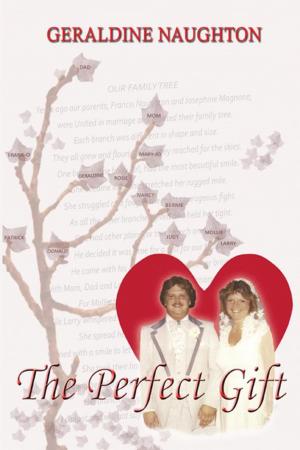 Cover of the book The Perfect Gift by Marion Jaide