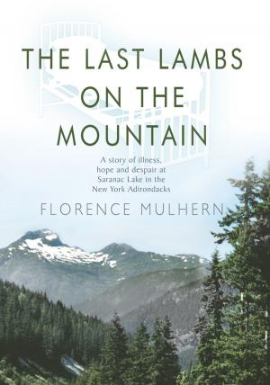 Cover of the book The Last Lambs on the Mountain by Kristin Scneider