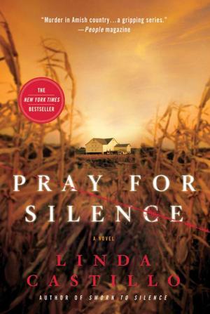 bigCover of the book Pray for Silence by 