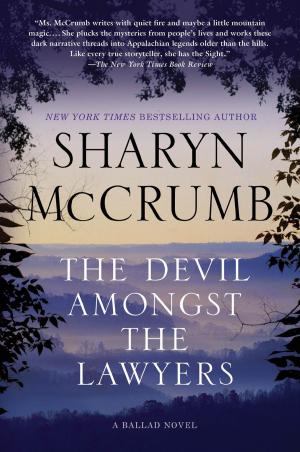 Book cover of The Devil Amongst the Lawyers
