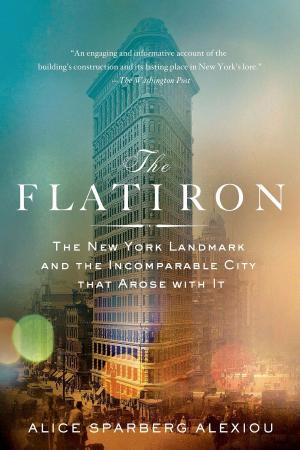 Cover of the book The Flatiron by Barbara Taylor Bradford