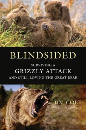 Cover of the book Blindsided by David L. Golemon