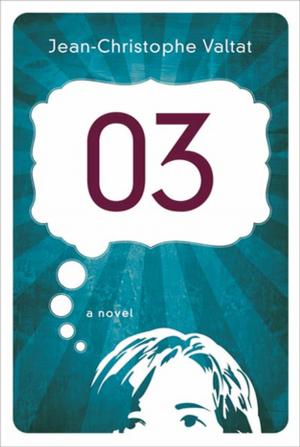 Cover of the book 03: A Novel by Brian Seibert