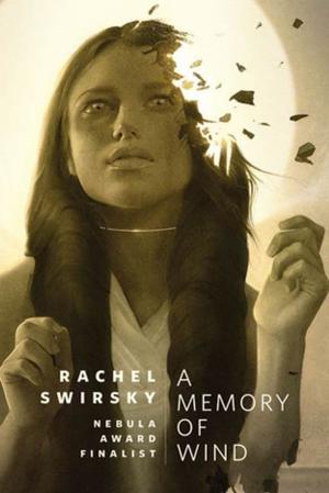Cover of the book A Memory of Wind by Sarah McCarry
