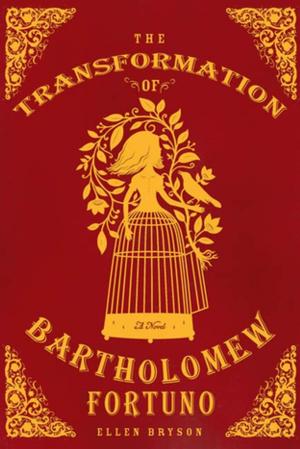 Cover of the book The Transformation of Bartholomew Fortuno by Edward G. Lengel