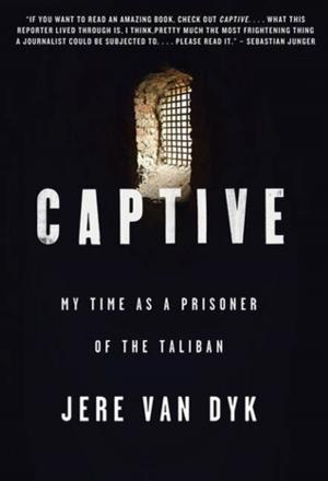 Cover of the book Captive by Natalie Hevener Kaufman, Carol McGinnis Kay