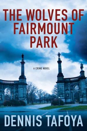 Cover of the book The Wolves of Fairmount Park by John Boyne
