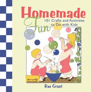 bigCover of the book Homemade Fun by 