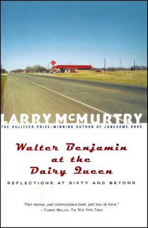 Cover of the book Walter Benjamin at the Dairy Queen by Greg Steinmetz