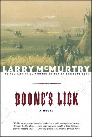 Cover of the book Boone's Lick by Jo-Ann Mapson