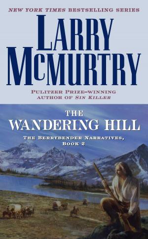 bigCover of the book The Wandering Hill by 