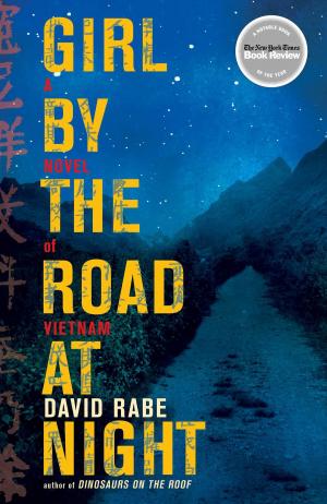 Cover of the book Girl by the Road at Night by Dr. David A. Colbert, M.D.
