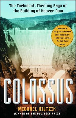 Cover of the book Colossus by Robert Wuthnow