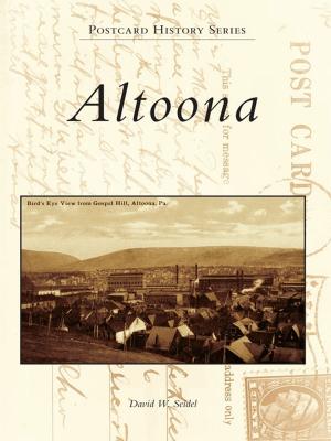 Cover of the book Altoona by Victoria Christian