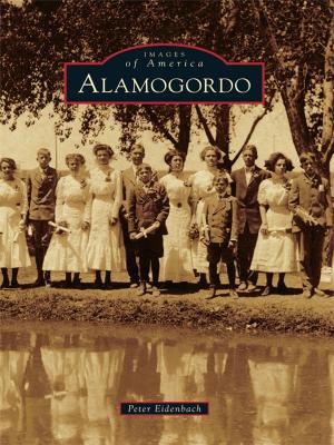 Cover of the book Alamogordo by Michael Leavy