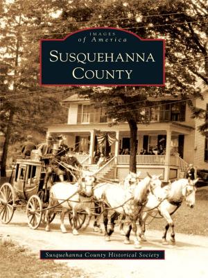 Cover of the book Susquehanna County by Dick Trust