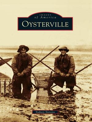 Cover of the book Oysterville by Amy Jenness