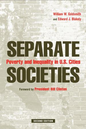 Cover of the book Separate Societies by Clinton Sanders
