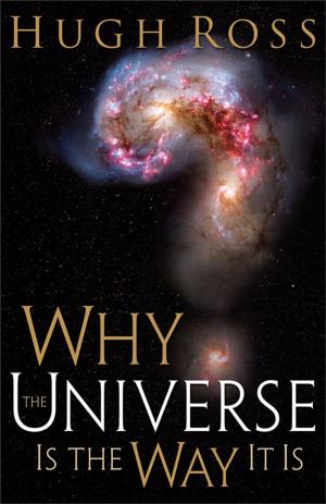 Cover of the book Why the Universe Is the Way It Is by Kathryn Cushman